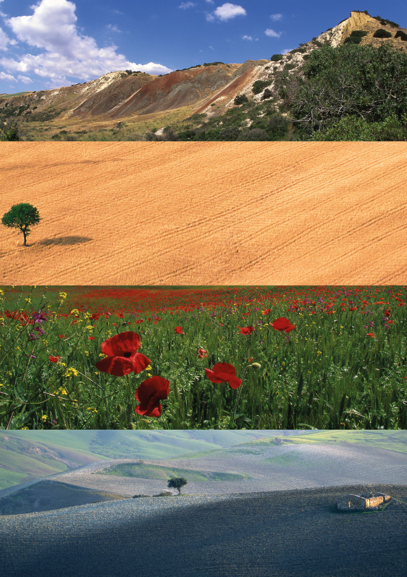 BROCHURE2 BROCHURE2