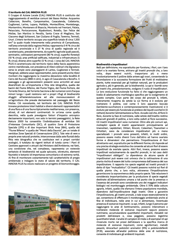 BROCHURE3 BROCHURE3